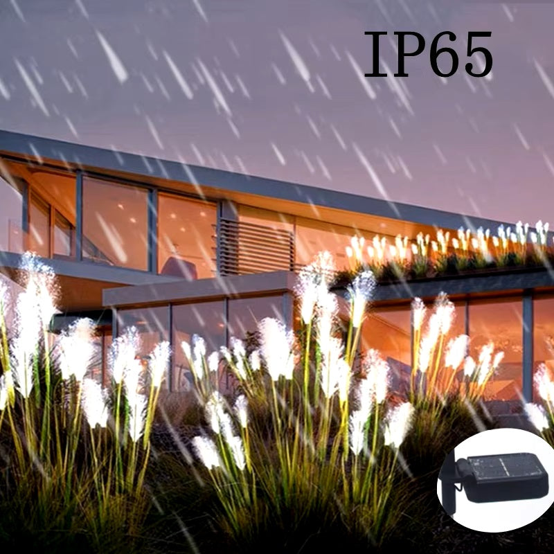 LED Solar Garden Lights in winter