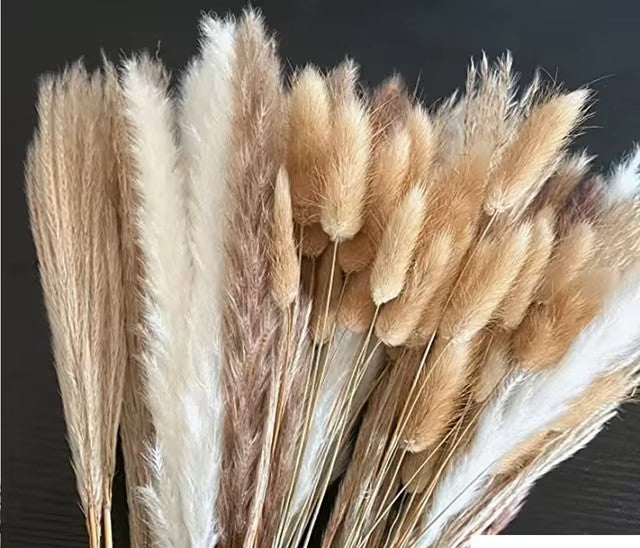 100Pcs Fluffy Pampas Dried Flowers Bouquet Home Decor Natural