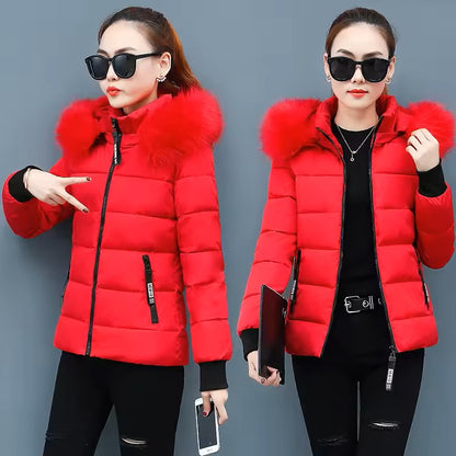 "Butterfly Sweatshirt Women Fleece High Blue"