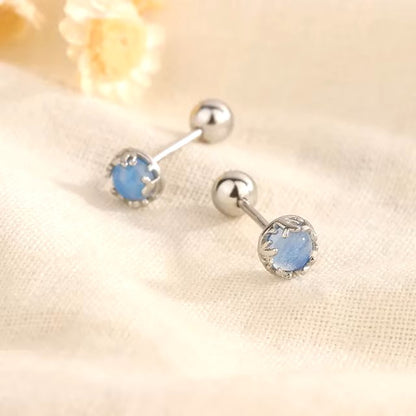 Korean 925 Silver Needle Tragus Piercing Helix Studs Earrings for Women 2Pcs Butterfly Heart Trendy Ear Piercing Body Jewelry dealshavens