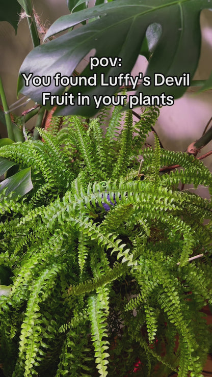 "AirPods Pro 2 Japan Anime 3D Devil Fruit Case"